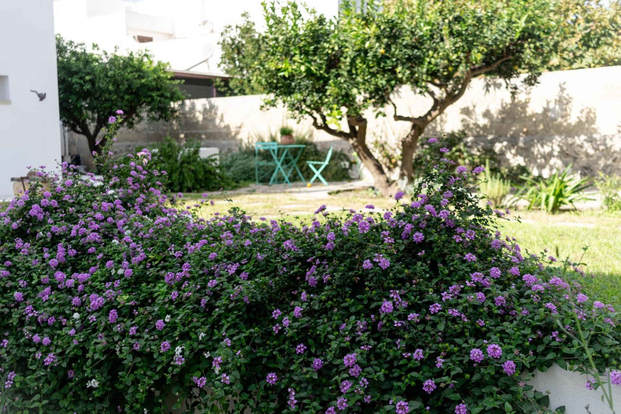 Corte Mercurio B&B Ugento Esterno foto